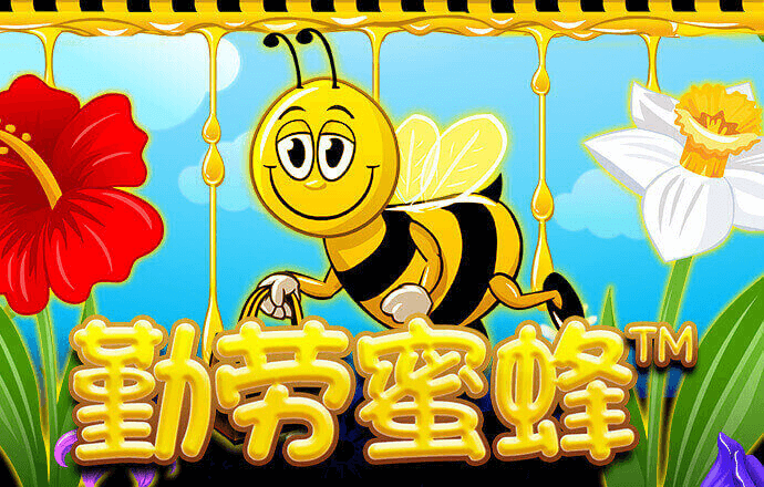 42982金牛网金牛版